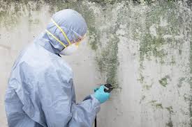 Best Mold Remediation for Healthcare Facilities  in Pleasant Hill, MS